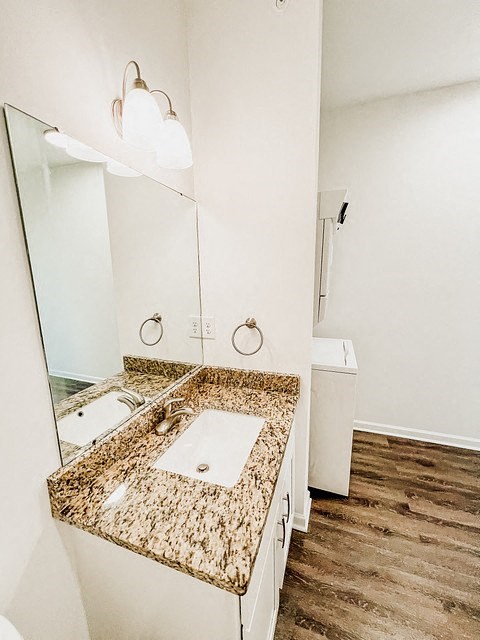 a bathroom with a sink and a mirror