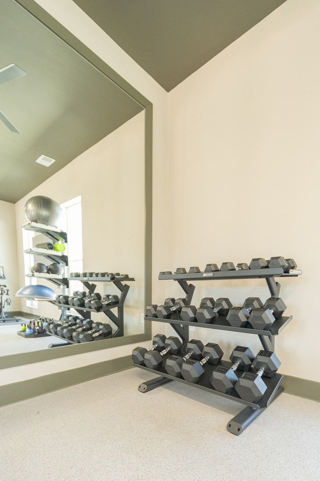 a mirror in the fitness room reflects the racks of dumbbells and other weights at Landon Green Artisan Cottages Apartments, Hickory, NC, 28601
