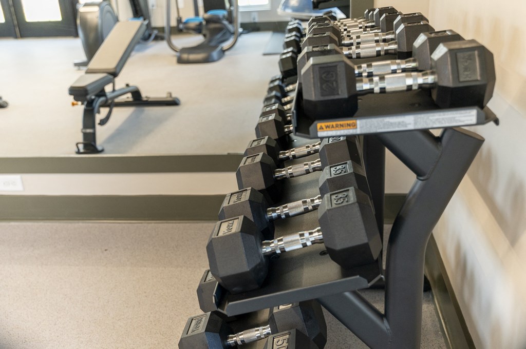 a row of treadmills in a gym at Landon Green Artisan Cottages Apartments, Hickory