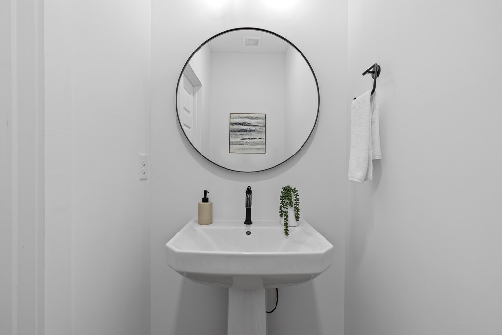 A white sink with a mirror above it and a plant to the right.