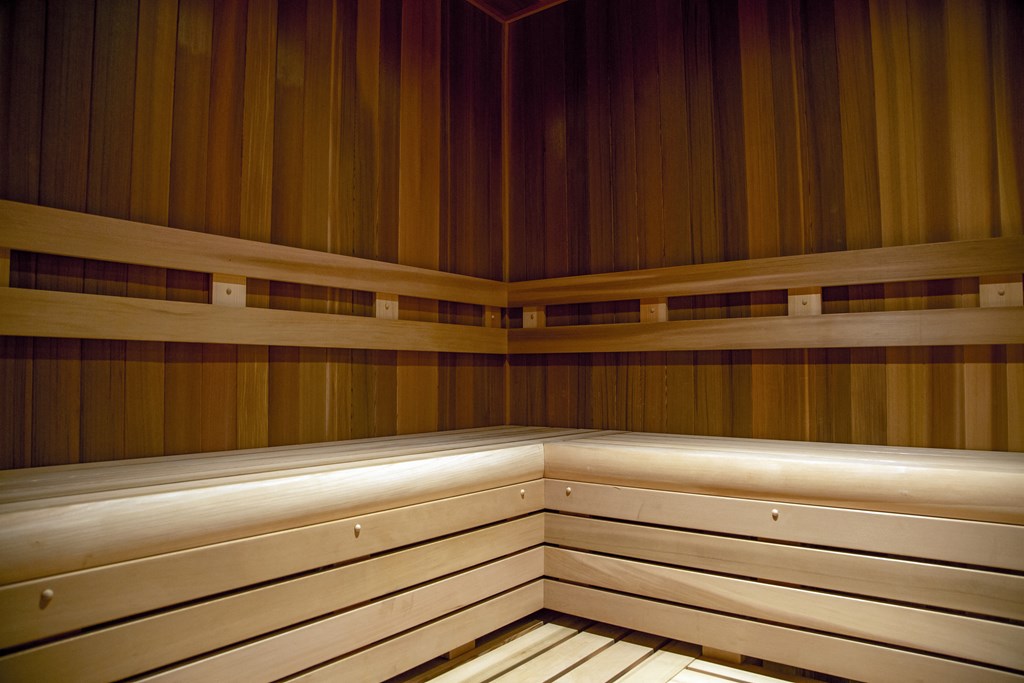 Sauna at The Matadora, Georgia 