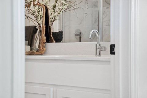 A white sink with a silver faucet and a plant on the counter.