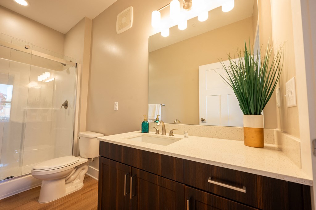 a bathroom with a sink and a toilet and a shower at Park View Greer, Greer, 29365