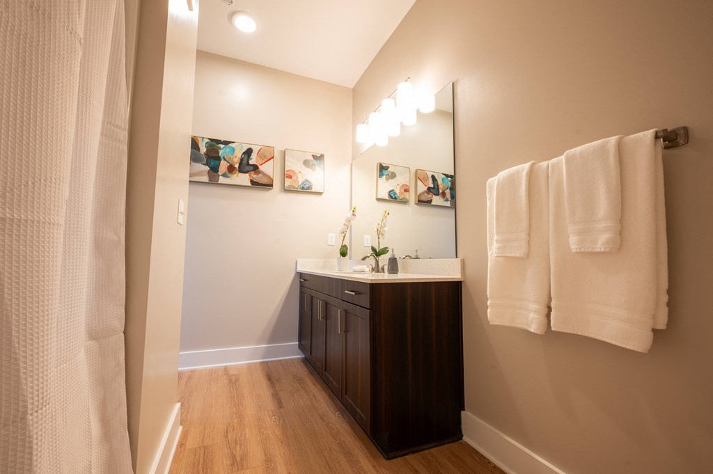 a bathroom with a sink and a mirror and a shower at Park View Greer, South Carolina, 29365