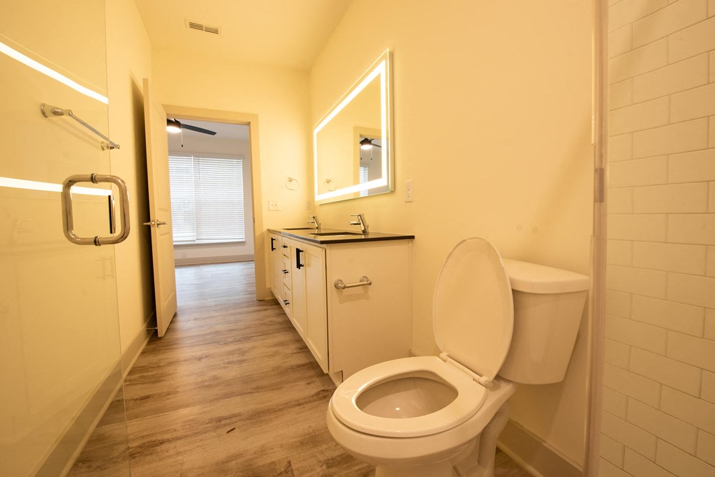 a bathroom with a toilet and a sink and a mirror