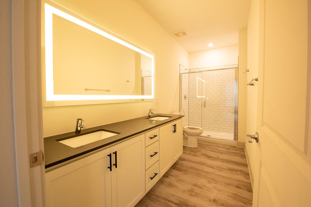 a bathroom with a sink and a mirror and a shower