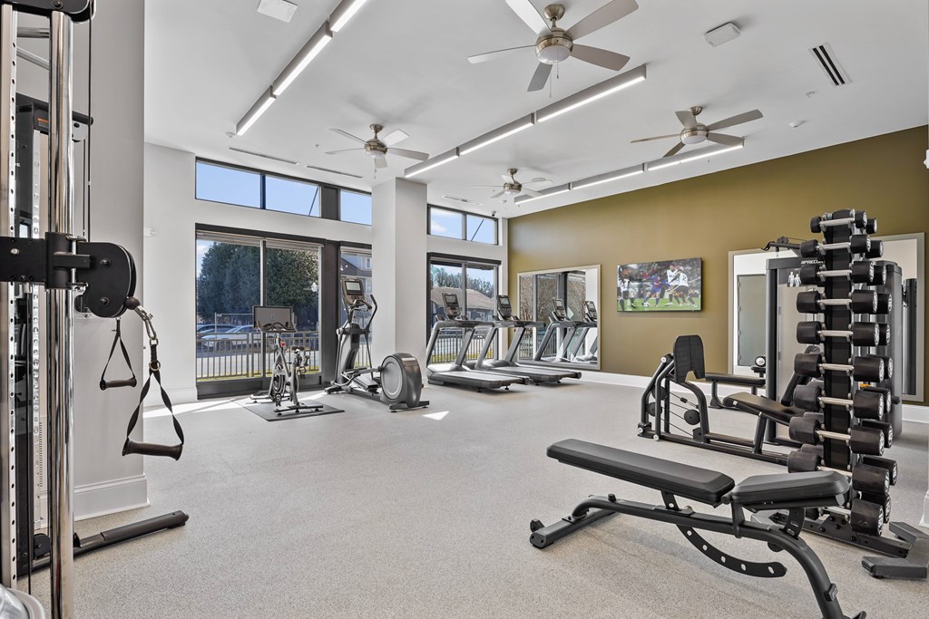 A spacious gym with a variety of equipment including a weight bench, a rowing machine, and a treadmill.
