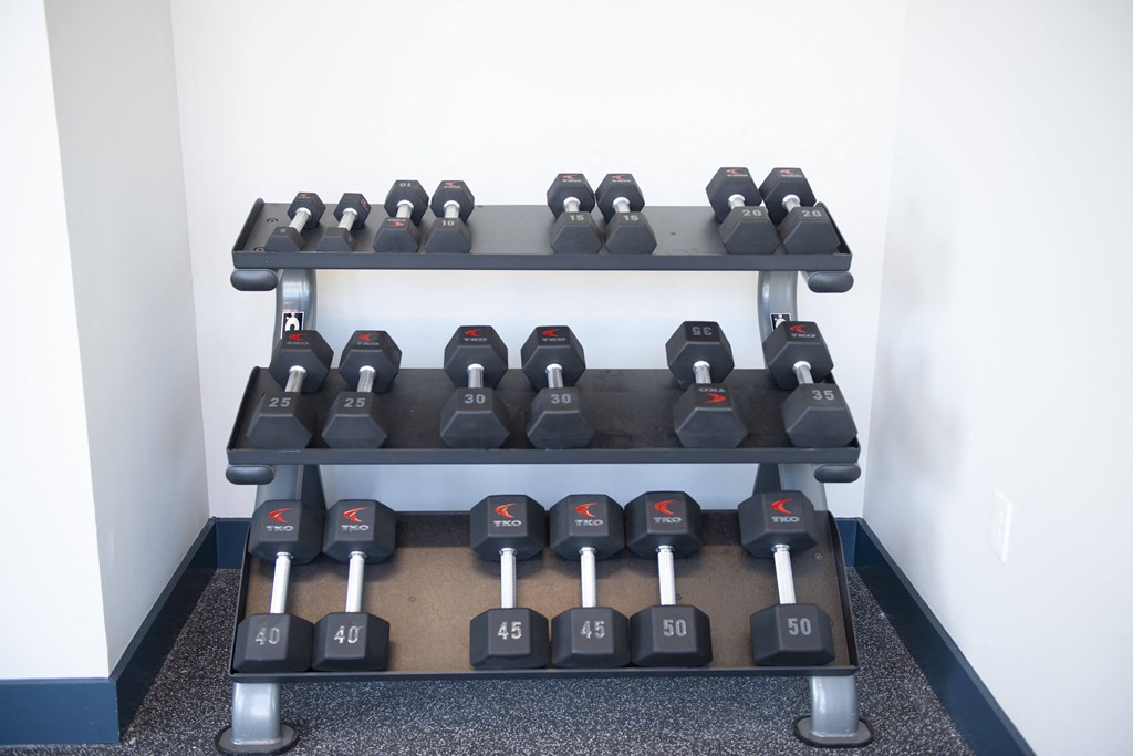 free weights at Skylark, Georgia