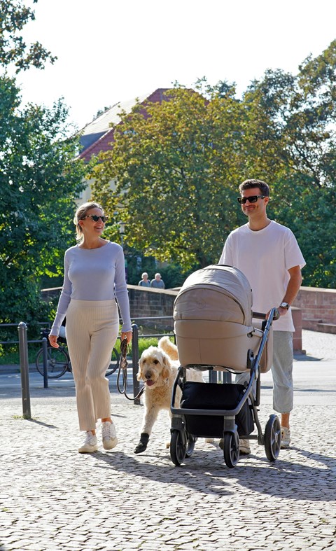 a couple walking a dog and a baby stroller