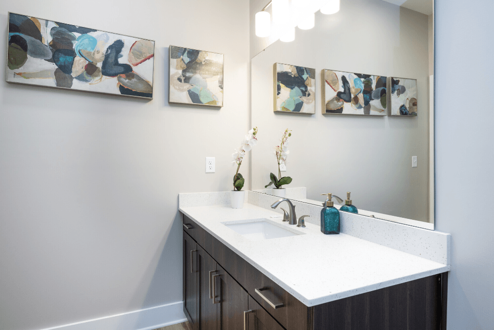 a bathroom with a sink and a mirror at Park View Greer, South Carolina, 29365
