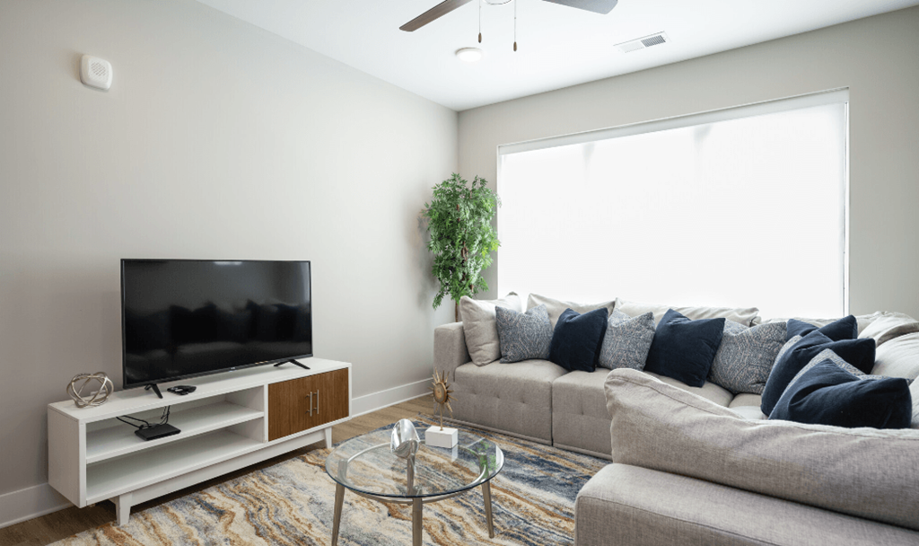 a living room with a couch and a television at Park View Greer, Greer, 29365