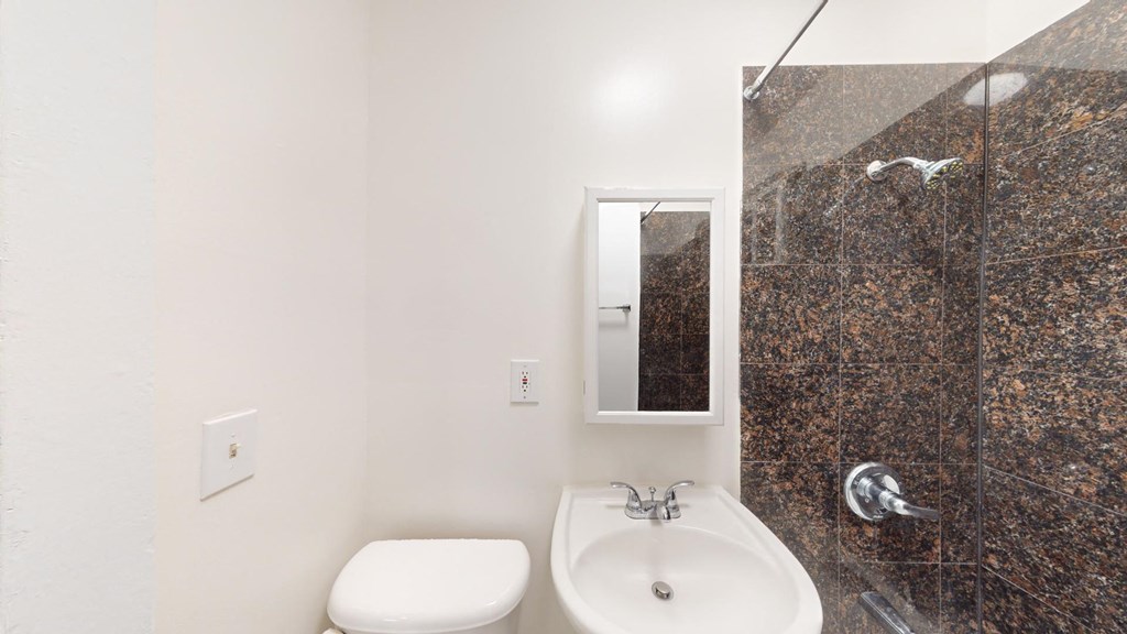 a bathroom with a sink and a mirror and a toilet