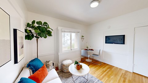 A living room with a white couch, a green plant, and a TV.