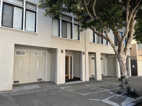 A tree is in front of a building with a white door.