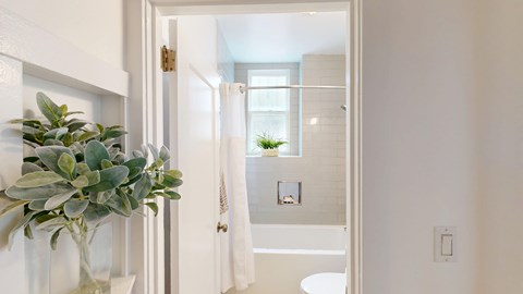 A bathroom with a toilet, sink, and a plant in a vase.
