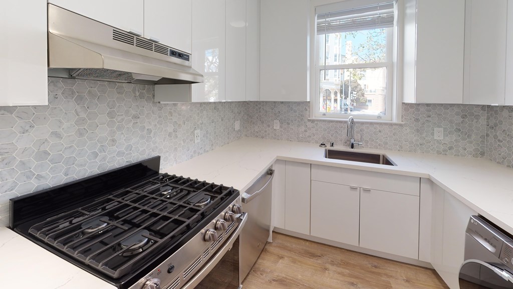 A modern kitchen with a stove top oven and a dishwasher.
