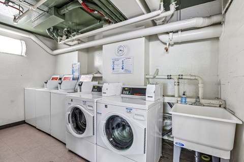 A row of washing machines in a laundry room.