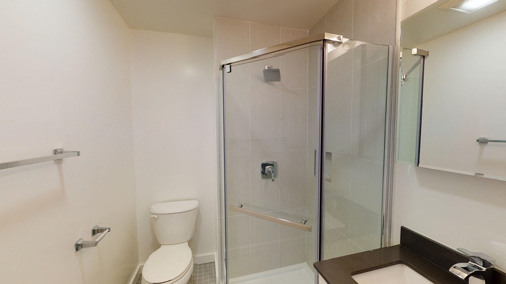 a bathroom with a shower and a toilet and a sink