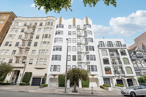 A white building with black windows and a tree in front.