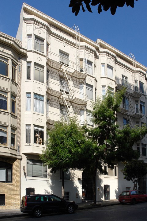 a large white building with a tree in front of it
