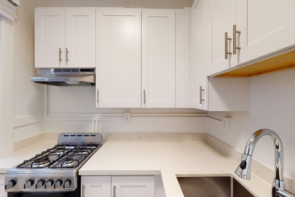 Kitchen with cabinets, stainless steel stove, range hood, and rectangular sink
