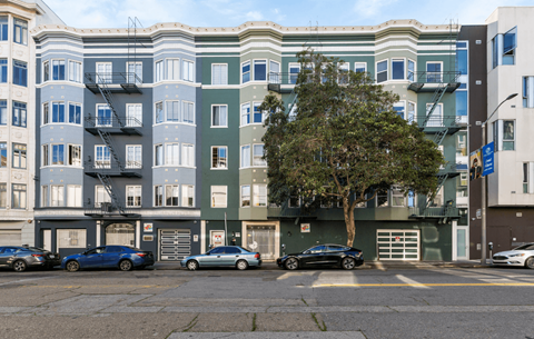 A tree in front of a building with cars parked in front of it.