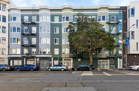 A tree in front of a building with cars parked in front of it.