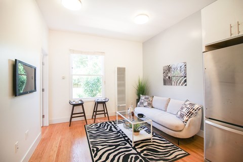 a living room with a white couch and a zebra rug