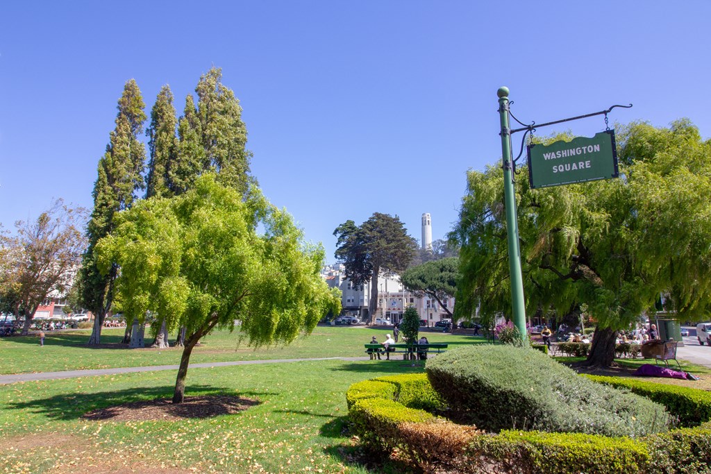 a park with trees and a sign that reads museum boulevard