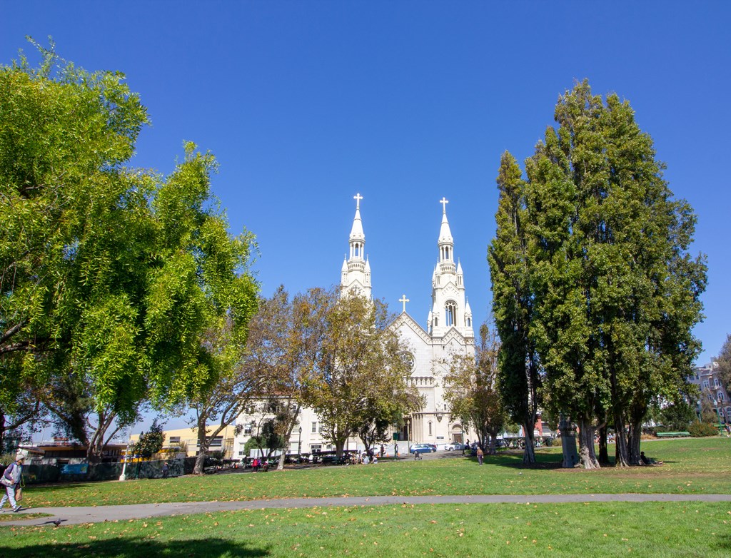 a church in a park with trees in front of it