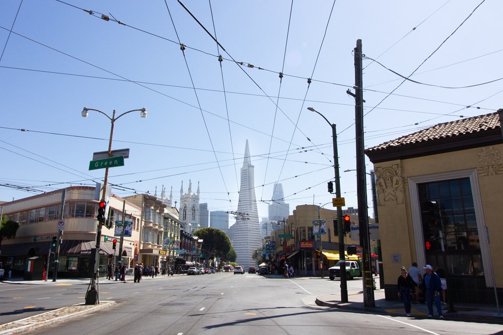 the city with the 1010 tower in the background