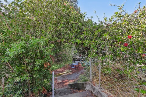 A garden with a fence and a pathway.
