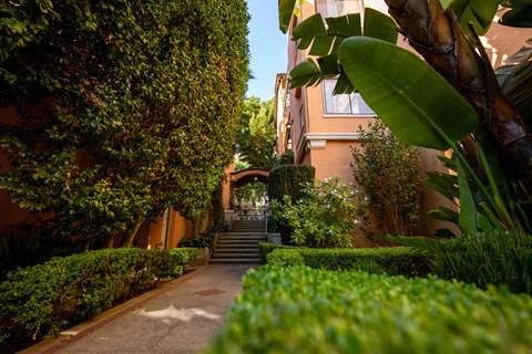 A pathway with green plants on both sides leading to a building.
