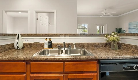 A kitchen with a sink and a counter.