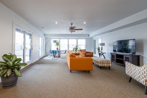 A living room with a television, a couch, and a potted plant.