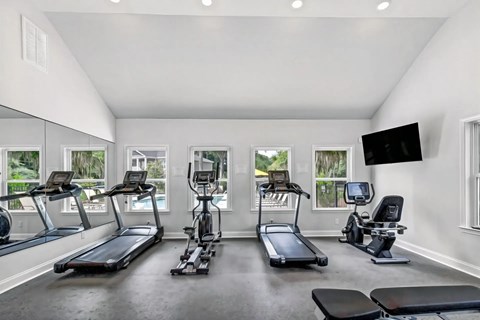 Fitness center with cardio equipment and tv at Hickory Grove Apartments, Georgia