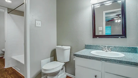 A bathroom with a toilet, sink, and mirror.