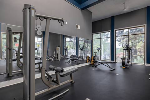 a gym with weights equipment and windows at the district at highland village apartments at Glen Hollow, Decatur