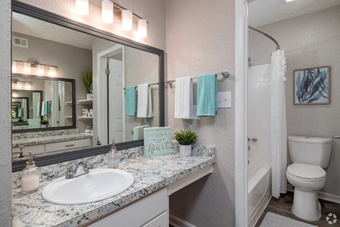 a bathroom with a sink and a toilet and a mirrorat Glen Hollow,Decatur, GA, 30034