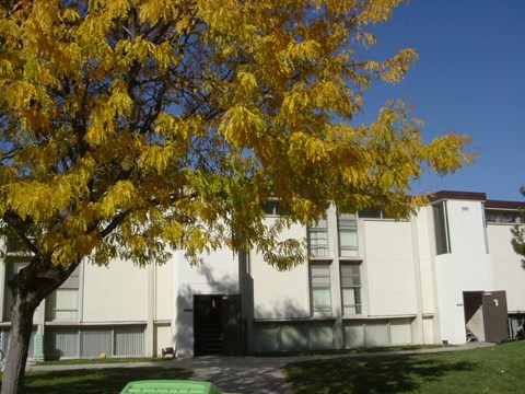 Exterior cedar apartment