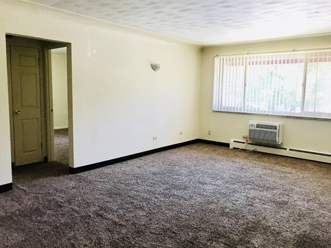 an empty living room with carpet and a window