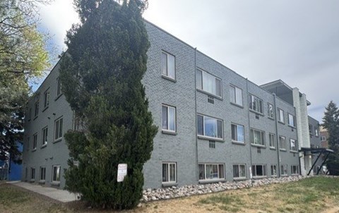 A grey building with a tree in front of it.