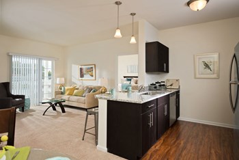 Birch Kitchen and Living Room - Photo Gallery 4