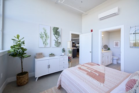 A bedroom with a bed, a plant, and pictures on the wall.