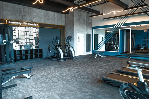 A gym with treadmills, elliptical machines, and other exercise equipment.