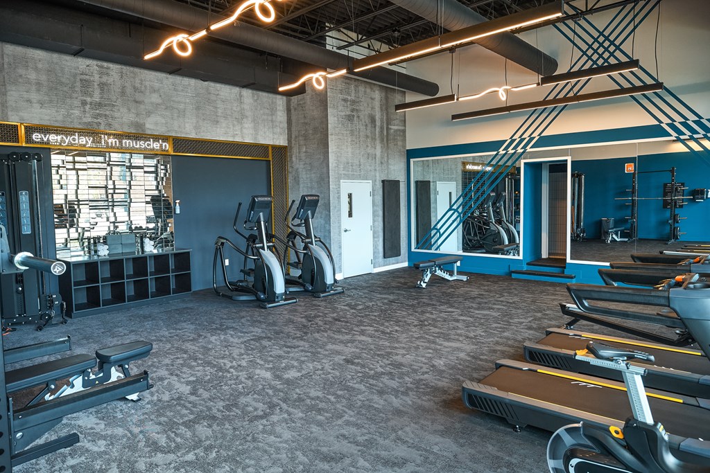 A gym with treadmills, weights, and exercise equipment.