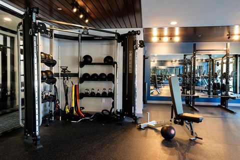 A gym with a squat rack, bench, and weights.