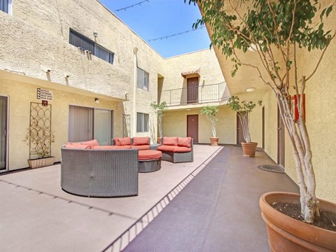 a courtyard with couches and tables and a tree