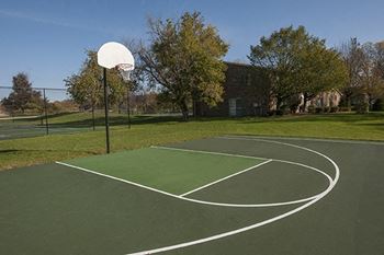 a basketball court in the middle of a park