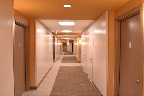 A long hallway with doors on both sides and a carpeted floor.